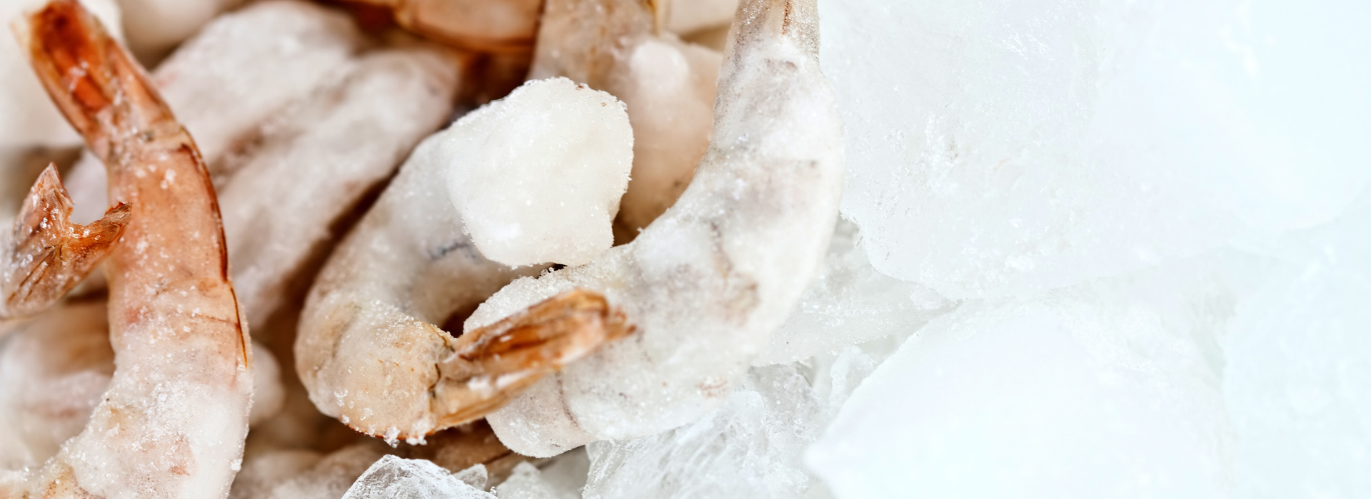 Seafood & Tiefkühlprodukte
